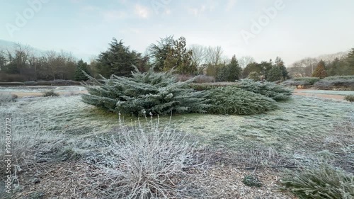 Wallpaper Mural Silver-green juniper bushes stand out against a landscape covered in delicate white frost. The scene feels crisp and refreshing as the soft winter light touches the quiet botanical garden. Torontodigital.ca