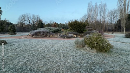 Wallpaper Mural The morning moon stays visible over a field of frosted grass and evergreen bushes. A smooth path winds through the quiet, frozen botanical garden. The air feels very still, cold, and magical. Torontodigital.ca