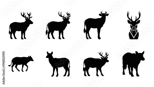 Deer Silhouette Collection: Various Poses and Species