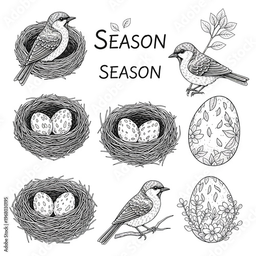 Birds Nest Eggs Birds Perched Branch.