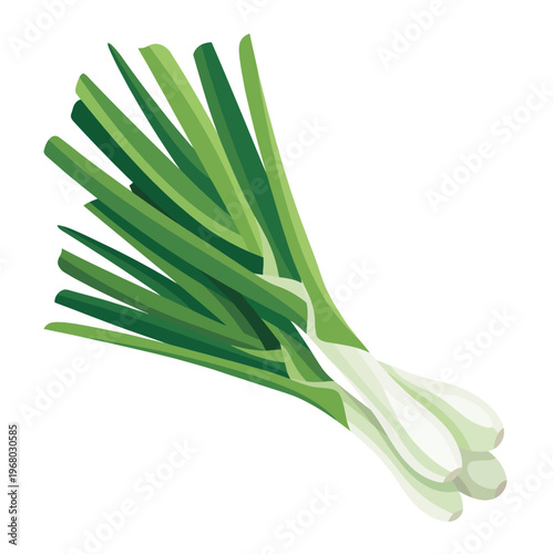 This image features a vibrant bunch of fresh green onions, showcasing their bright green tops and white bulbs, perfect for enhancing various culinary dishes.