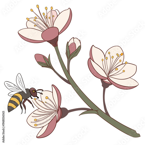 Canvas Print A delicate illustration depicts blossoming cherry flowers with a busy bee collec