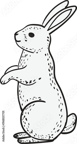 Cute handdrawn rabbit standing on hind legs, simple black and white line art illustration