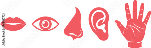 Human Senses Vector Icons. Five Red Sense Organs: Lips, Eye, Nose, Ear, Hand. Modern Graphic Design Elements for Education and Health.