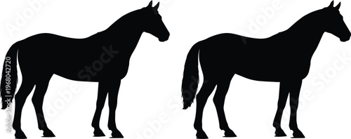 Elegant horse silhouette vector, two black equine animal shapes, majestic stallion and mare profiles, equestrian sport and farm animal graphic resource