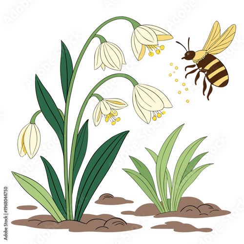 A charming illustration depicts a honeybee in flight gathering pollen from delicate drooping snowdrop flowers amidst green foliage high quality