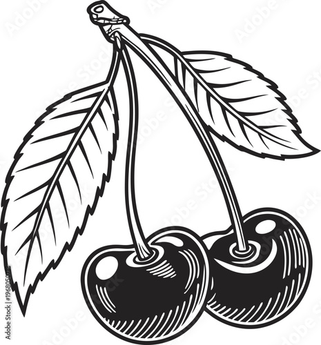 Cherry, fruit, black and white, vector illustration, food icon, healthy eating, nutrition symbol