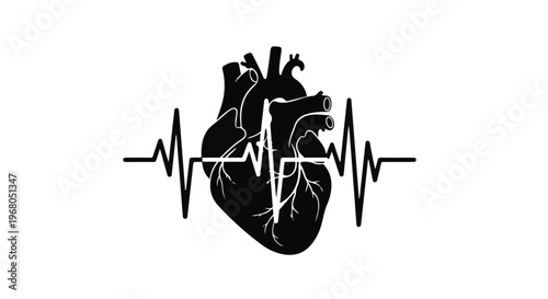 Anatomical human heart illustration in black, featuring a prominent white electrocardiogram (ECG) line symbolizing cardiac health and medical monitoring on a clean white background.