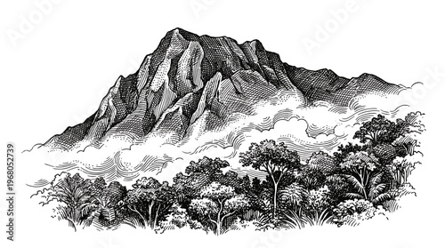 A majestic, mist-shrouded mountain peak rises above a dense, verdant forest in a detailed black and white illustration.