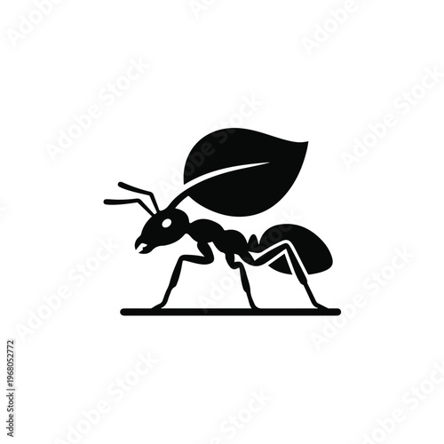 Black Ant Carrying Large Leaf.