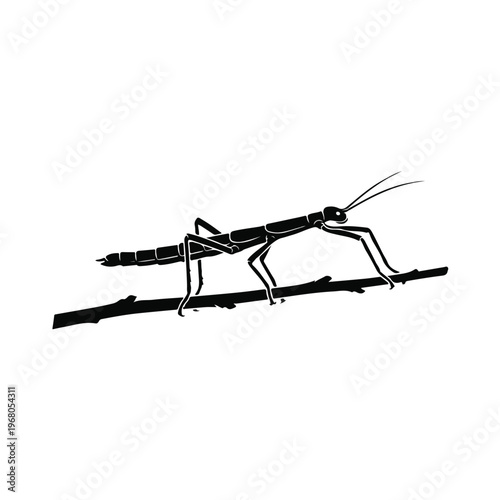 Praying Mantis on a Branch.