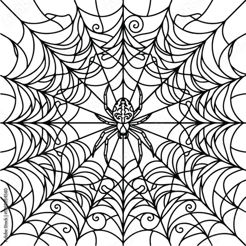 Spider in a large web.