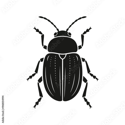 Black Beetle Insect Illustration.