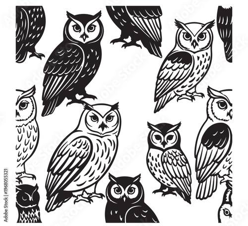 A diverse collection of elegant stylized owl illustrations, showcasing various majestic nocturnal bird designs, ideal for decorative patterns and creative projects