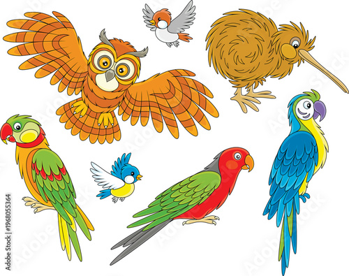 Funny cartoony owl, kiwi, sparrow, titmouse and exotic parrots, a set of vector cartoon illustrations on a white background
