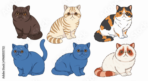 Six distinct breed cats with varied fur patterns and colors, sitting