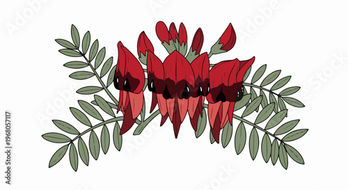 Red floral cluster with green foliage