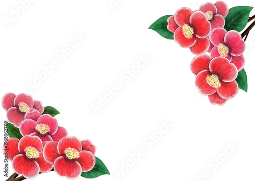 椿の花が上下にあるカラーイラスト