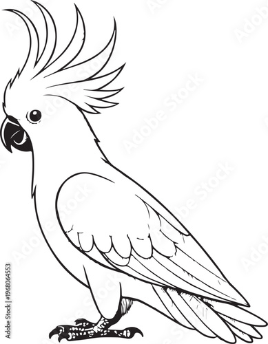 Cockatoo Parrot Hand-drawn Sketch Drawing Vector Illustration, Line Linear Symbol Black and White Engraving, Isolated