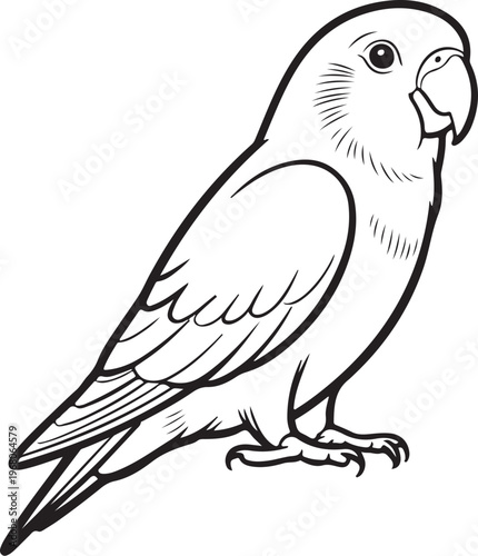 Lovebird Parrot Hand-drawn Sketch Drawing Vector Illustration, Line Linear Symbol Black and White Engraving, Isolated