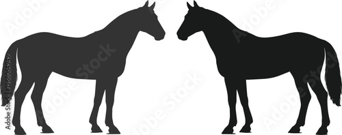 Elegant horse silhouette vector, two majestic equine profiles facing each other, black animal graphic for equestrian branding and design projects, isolated on white background