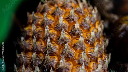 Close up view of a pineapple fruit.