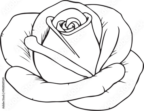 Rose Flower Head Hand-drawn Sketch Drawing Vector Illustration, Line Linear Symbol Black and White Engraving, Isolated