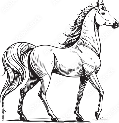 Stallion Horse Walking Hand-drawn Sketch Drawing Vector Illustration, Line Linear Symbol Black and White Engraving, Isolated