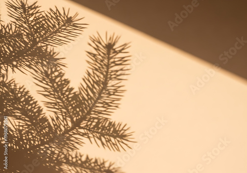 Shadow of pine branch on a light wall with copy space natural sunlight abstract