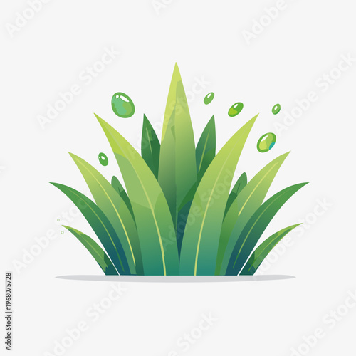 Vibrant green grass clump with fresh morning dew drops.