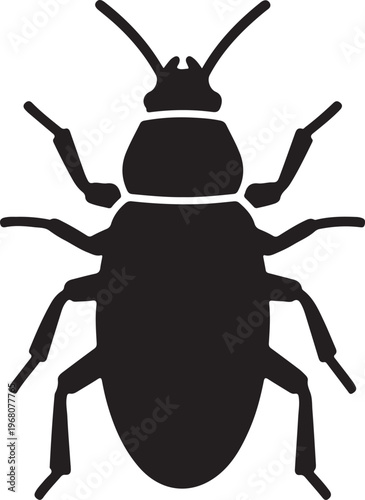 A macro closeup of a black beetle insect isolated on a white background, featuring detailed antennae and wildlife characteristics for a nature-themed vector illustration