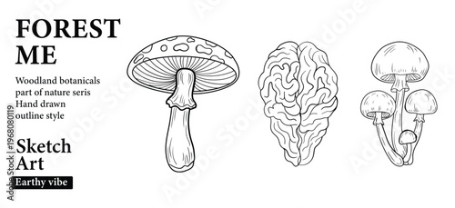 Forest me woodland botanicals nature seris hand drawn outline sketch art.