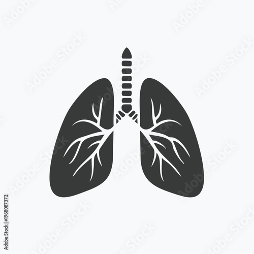 An illustration of the human respiratory system's lungs and trachea, highlighting the bronchial tree structure