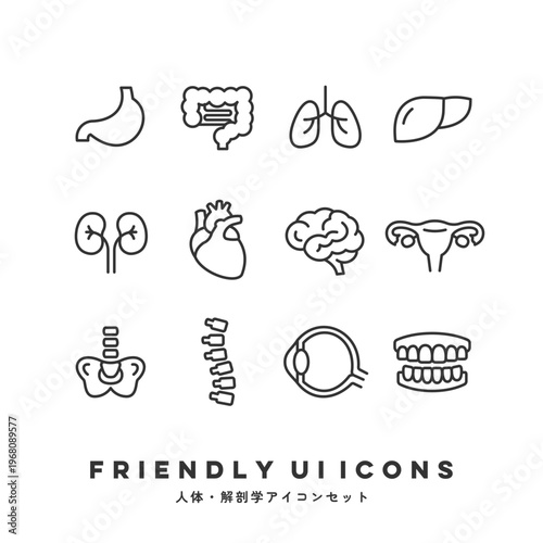 UIアイコンセット（人体・解剖学） | Friendly UI Icons (Human Anatomy)
