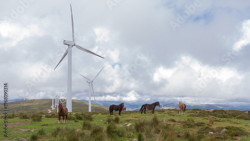 Foto Wild horses grazing near a modern wind farm on a mountain ridge under a cloudy sky