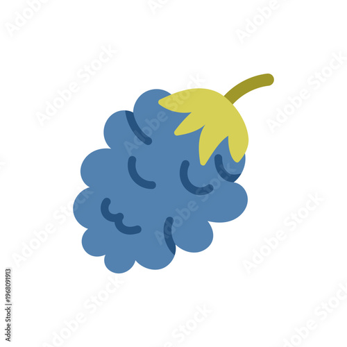 Blackberry fruit icon