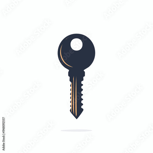 Black metal house door lock key.