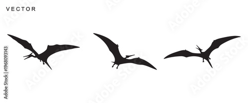 Pterodactyl dinosaur black silhouette vector illustration