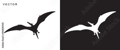 Pterodactyl dinosaur black silhouette vector illustration