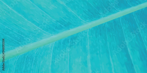 Close-up of a vibrant turquoise leaf with visible veins.