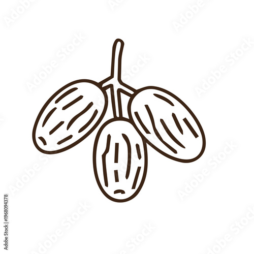 A brown line art icon of three dates on a stem. It represents tradition and healthy fasting, ideal for concepts involving Ramadan, Middle Eastern cuisine, or Islamic religious observances.