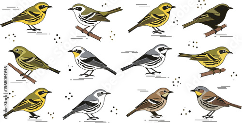 Small birds collection with sparrow finch warbler perched wildlife animals nature ornithology and detailed illustration set