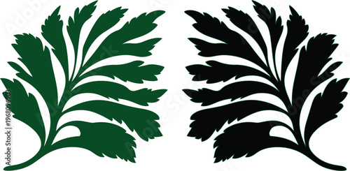 Hojas de perejil estilizadas en formato vectorial, siluetas botánicas de color verde y negro, elementos gráficos de hierbas aromáticas para diseño culinario