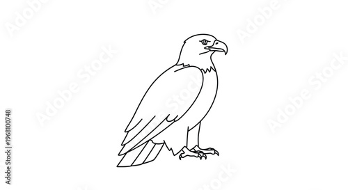 A white parrot vector illustration of a wild bird with elegant feathers and a sharp beak perched on a branch, isolated like a peaceful dove in nature