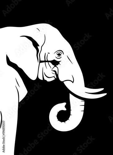 Close up profile of elephant head on black background with checkered pattern.