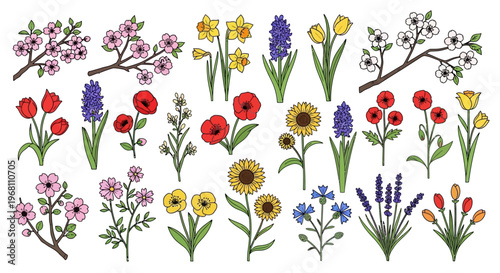 Colorful flowers in full bloom variety.