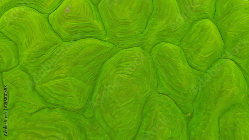 Abstract Aerial View of Vibrant Green Rolling Hills Texture with Organic Wavy Shapes and Smooth Gradients