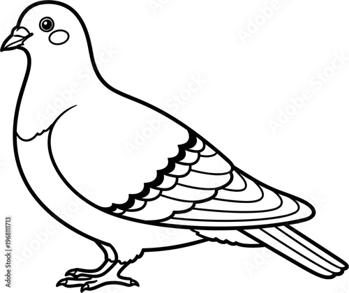 Detailed drawing of a pigeon bird.