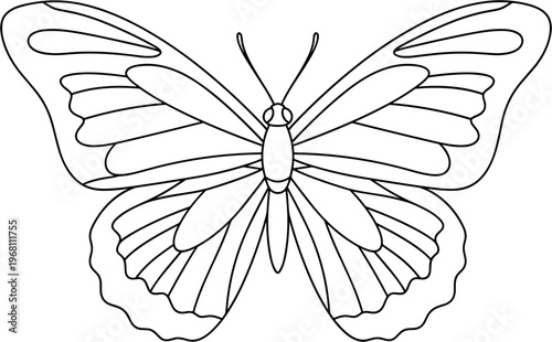Detailed illustration of a butterfly.