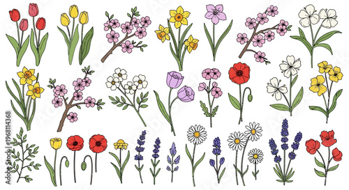 Colorful flowers in various types.